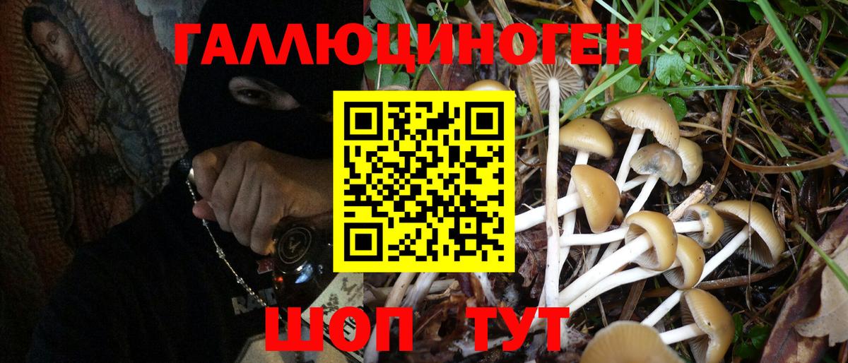 Кохма  Галлюциногенные грибы Psilocybine cubensis  Вход с VPN 